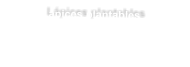 Lápices plantables